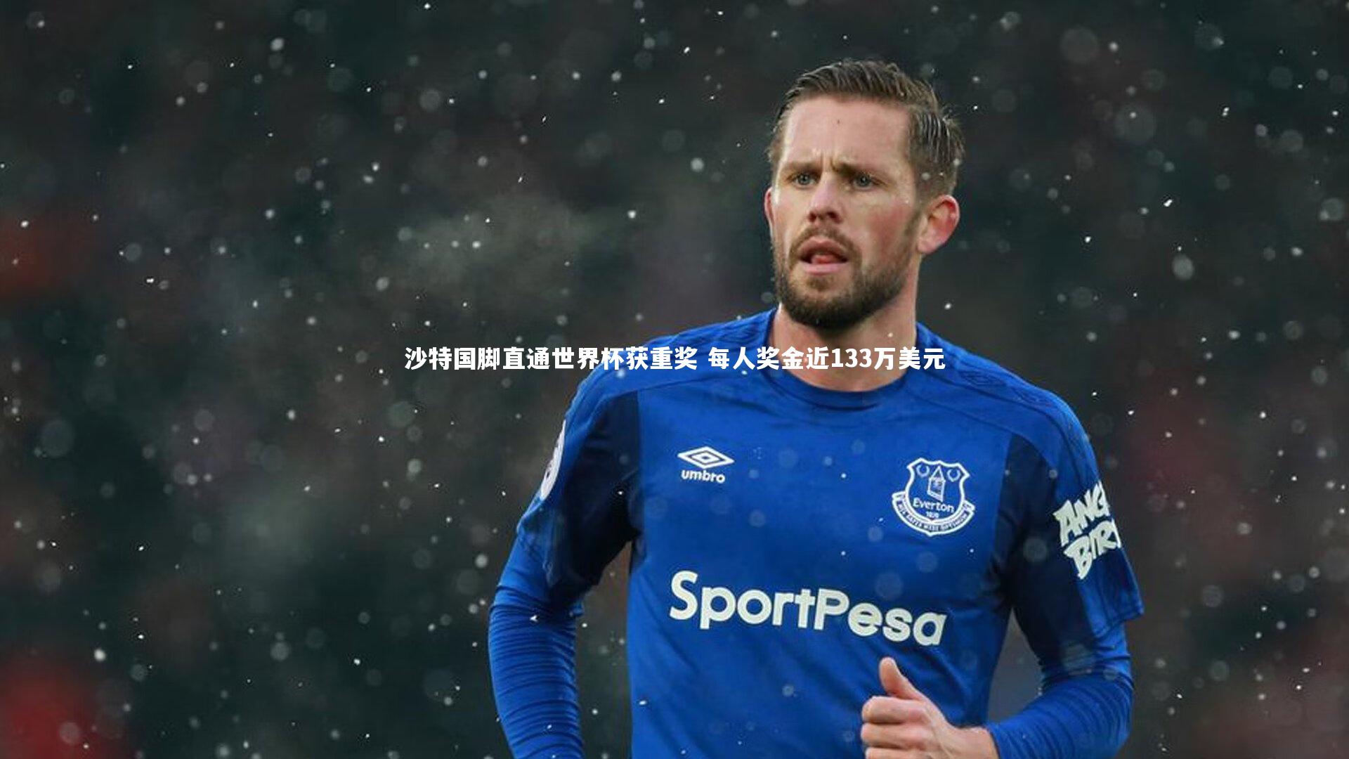 沙特国脚直通世界杯获重奖 每人奖金近133万美元